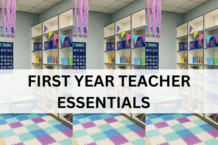 6 Things Every First Year Teacher Needs Teach Without A Doubt 0384